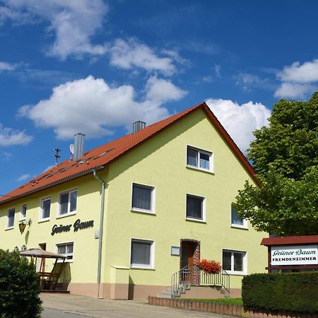 Gruener Baum Bed & Breakfast Langenau Exterior photo